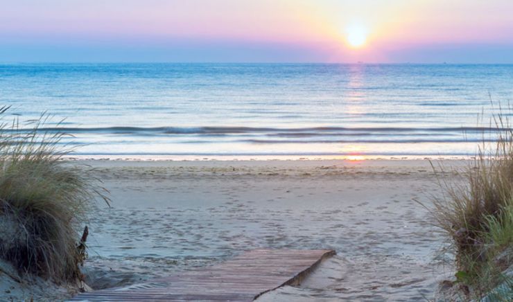 Vacaciones coaching